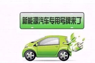 東營新能源號牌26日正式啟動，專用汽車可選號段公布