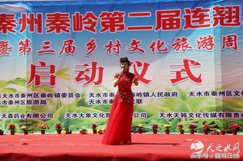 秦嶺連翹花開迎客來，秦州文旅融合繪新篇——第二屆連翹旅游節(jié)暨第三屆鄉(xiāng)村文化旅游周盛大啟幕